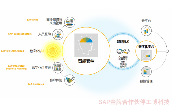 创业版IPO，企业上市，成长型企业融资上市，SAP智能云ERP，云ERP系统