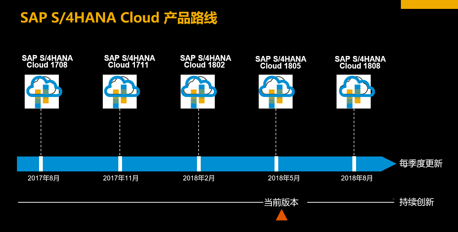 SAP S/4HANA Public Cloud 