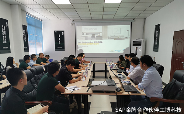 美巢家居ERP,绿萝美巢ERP,中国铝业集团ERP,SAP Business One系统，中铝·绿萝美巢SAP ERP项目