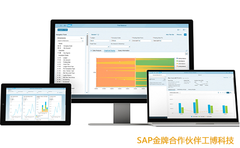 SAP系统,企业管理系统,ERP软件系统,SAP系统优势,SAP系统实施商