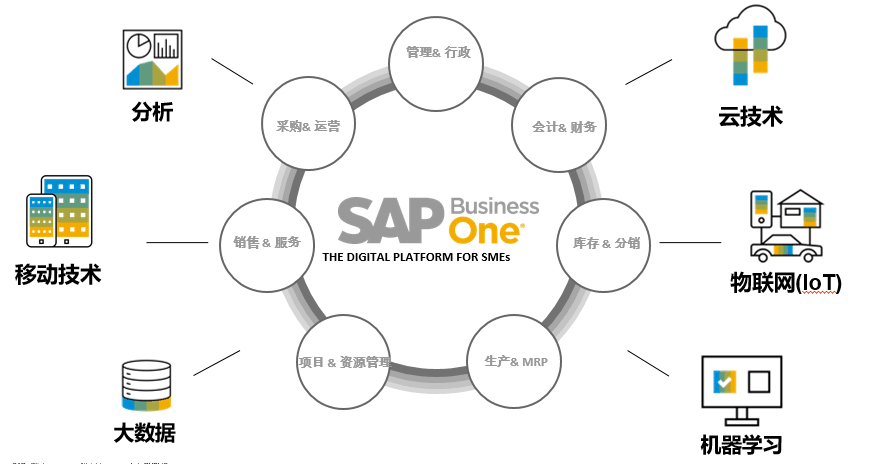 SAP Business One,SAP ByDesign,SAP Business  ByDesign