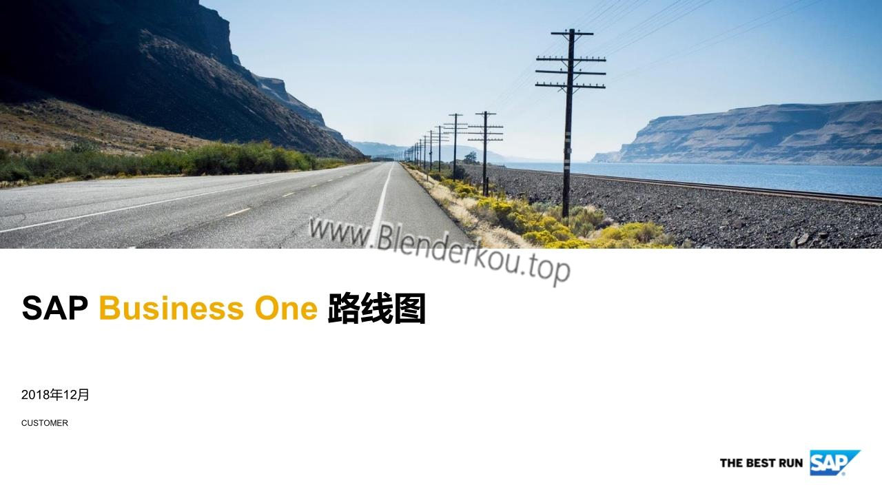 SAP B1 新材料行业解决方案