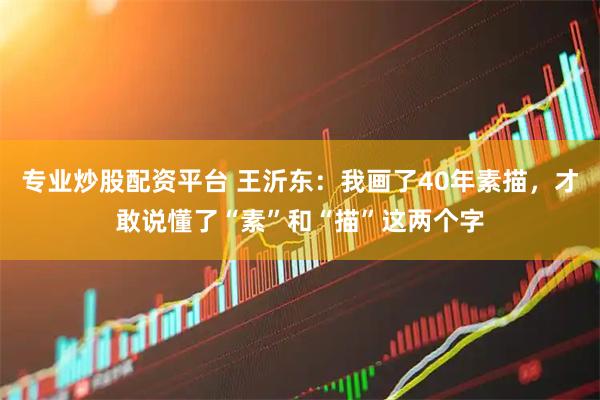 专业炒股配资平台 王沂东：我画了40年素描，才敢说懂了“素”和“描”这两个字